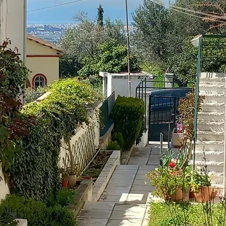 κοντά στην κλινική αγ λουκα * Soluň